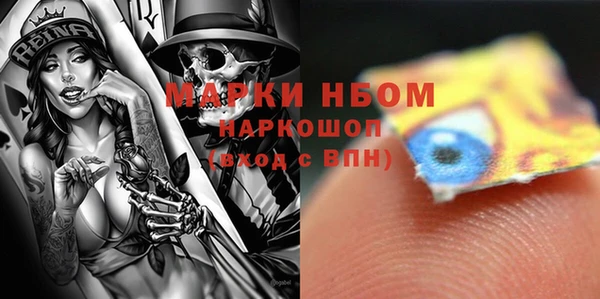 стаф Белокуриха